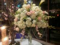 GiannisWifey GiannisWifey