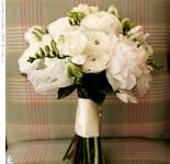 NikkiB0401 NikkiB0401