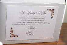 Debrian2009 Debrian2009