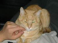 FutureMrsPanuch FutureMrsPanuch