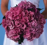 diamondgrlie diamondgrlie