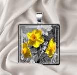 Jennielee15 Jennielee15