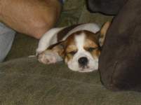 Jennielee15 Jennielee15