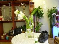 0216bahama 0216bahama