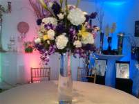 dpanzarino dpanzarino