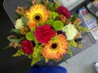 schnookie56 schnookie56