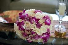 dpanzarino dpanzarino