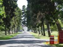 Backinneyork Backinneyork