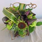 queenofhaerts queenofhaerts