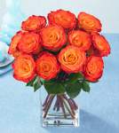 FutureMrsMcL FutureMrsMcL