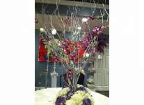 Noelle2013 Noelle2013