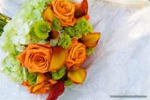 Starlet125 Starlet125