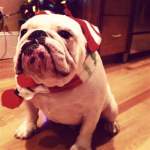 LadyReeRee LadyReeRee