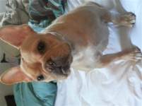 DharmaColbie86 DharmaColbie86