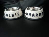 DharmaColbie86 DharmaColbie86