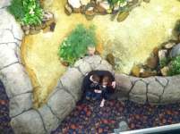 christinechristian christinechristian