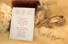 babybug631 babybug631