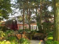 shellibean shellibean