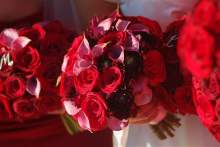 Backinneyork Backinneyork