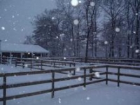 Kara and Todd Kara and Todd