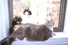 JeanineP2B JeanineP2B