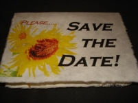 BunnyBride BunnyBride