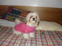 hayleyandsteve hayleyandsteve