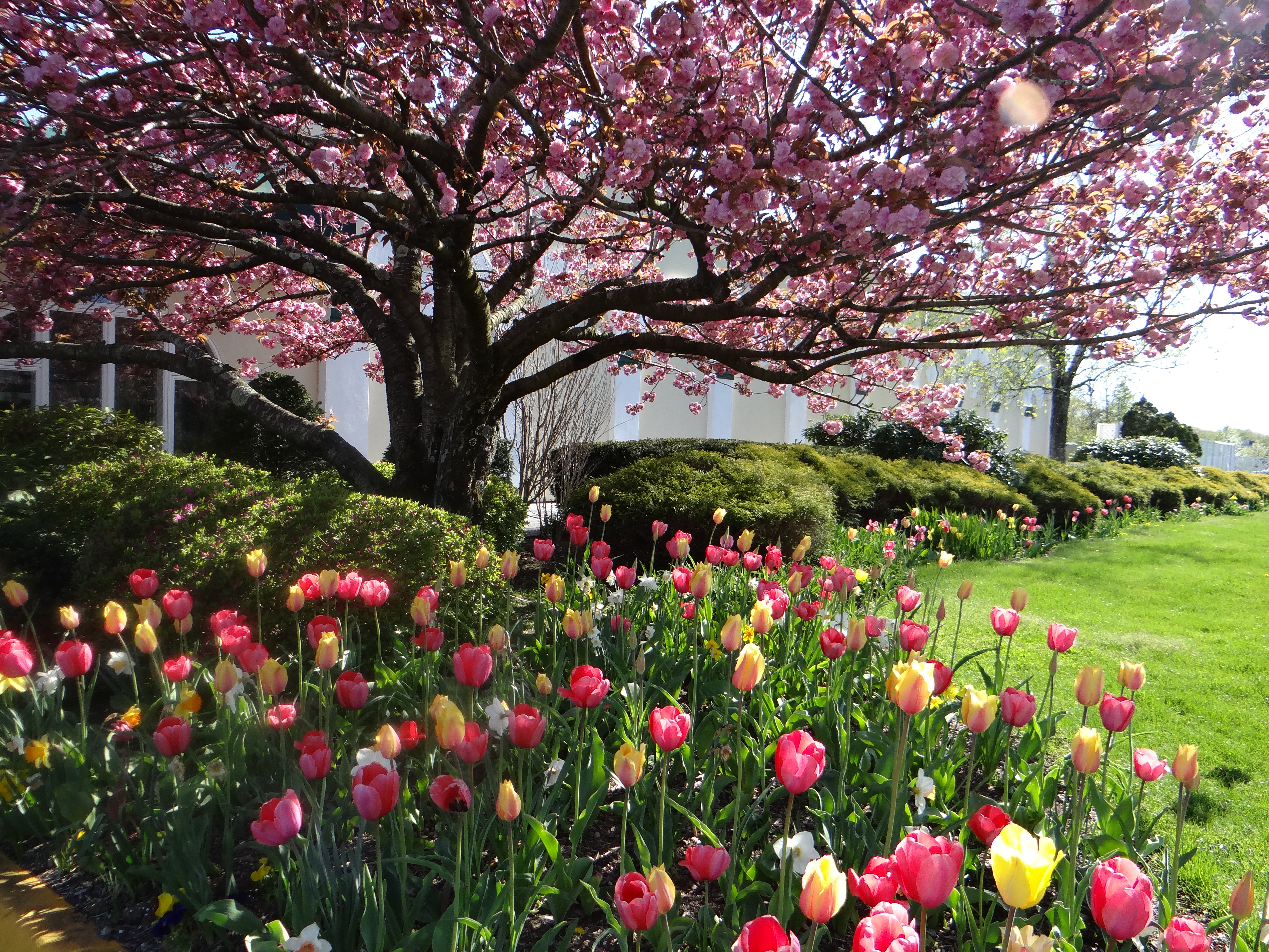 Majestic Gardens