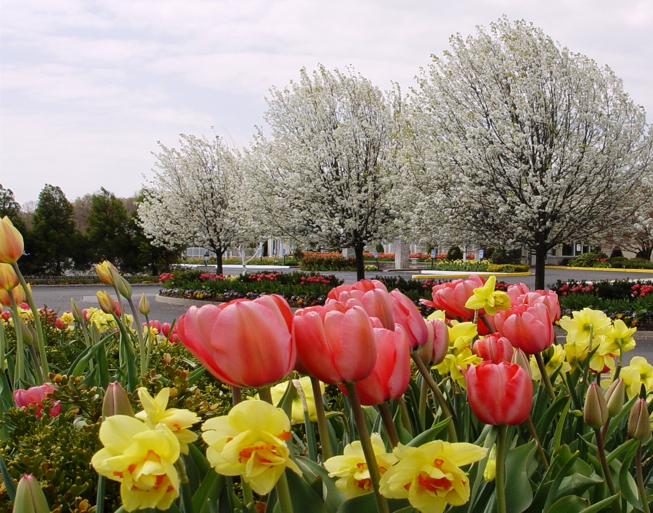 Majestic Gardens