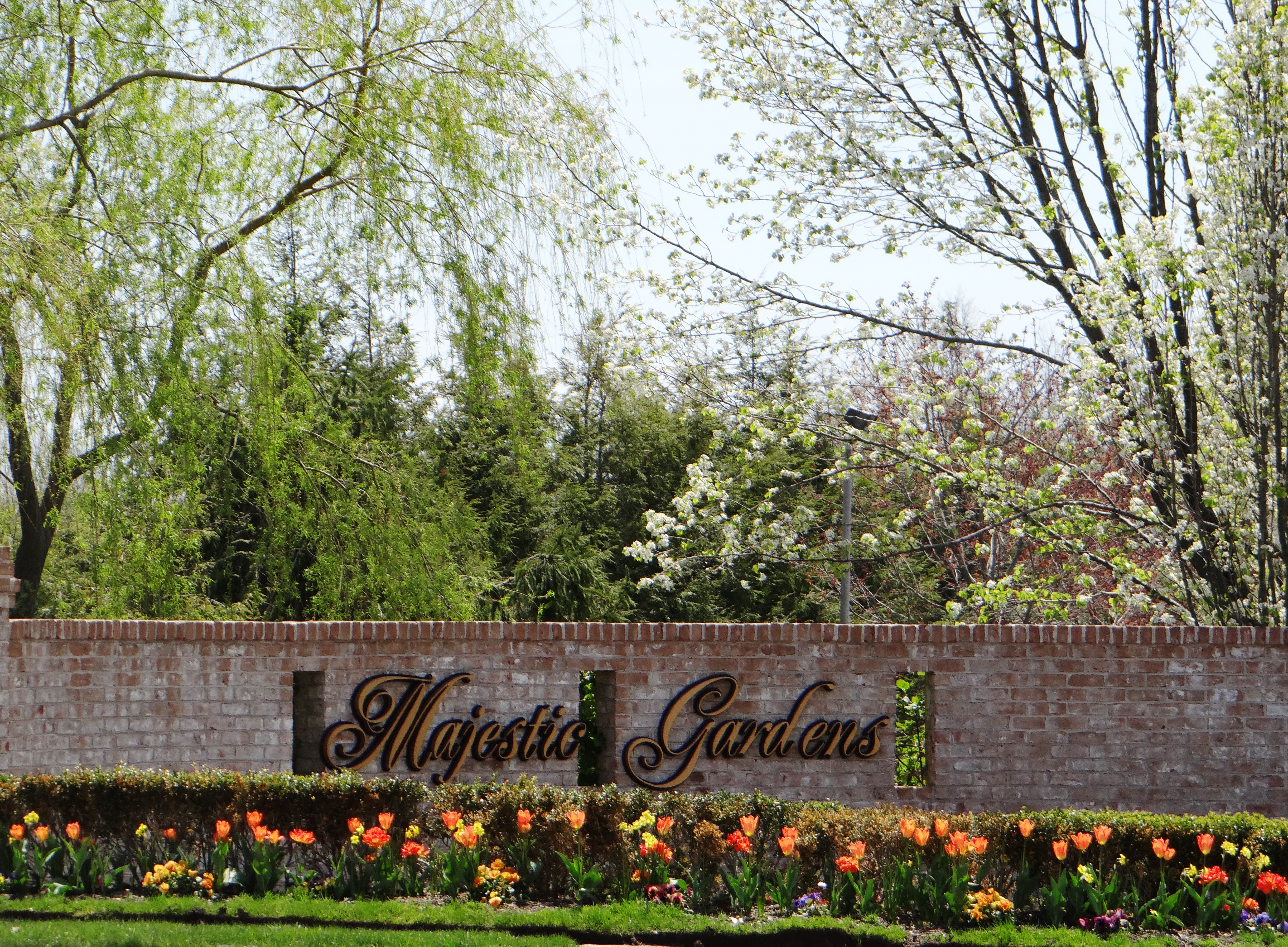 Majestic Gardens