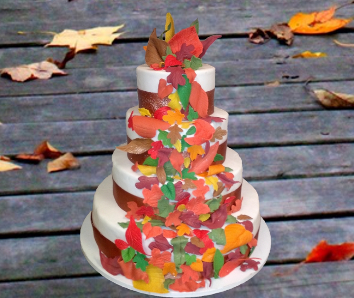Jerri&amp;#039;s Custom Cakery