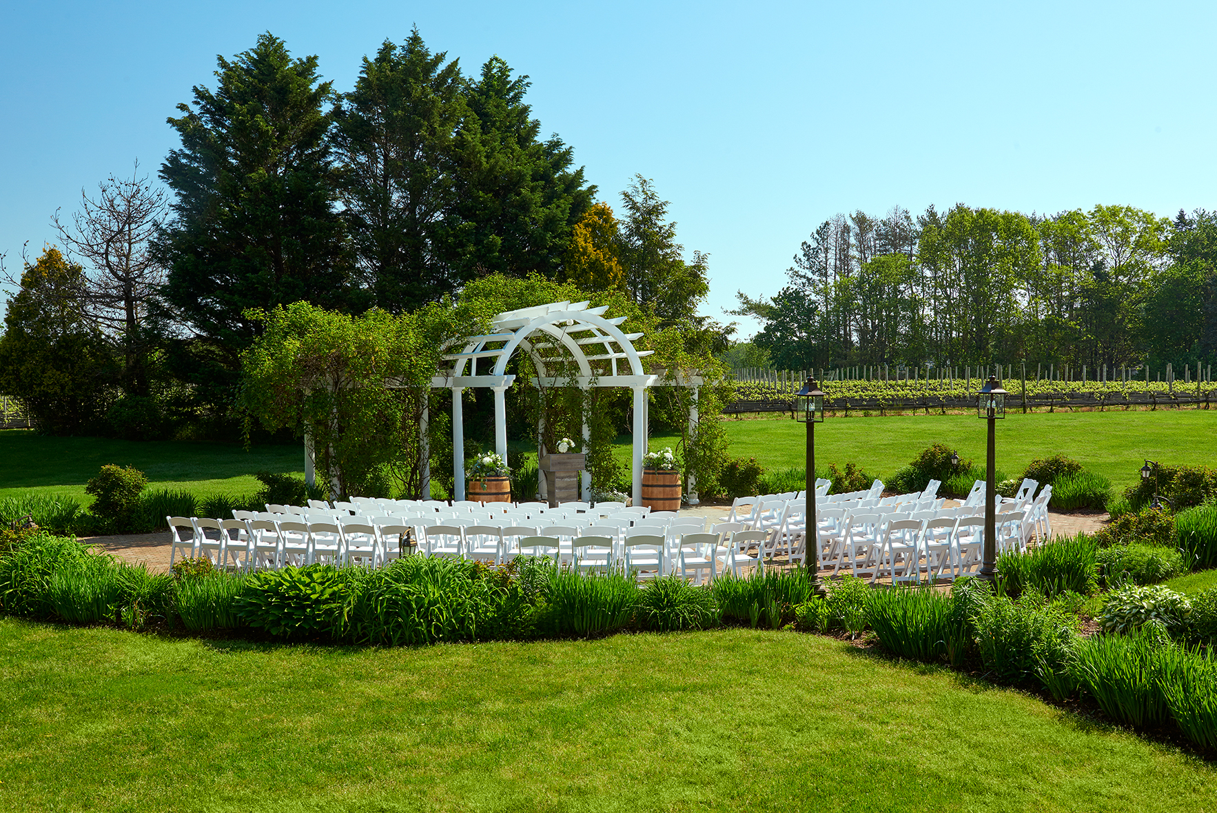 The Vineyards