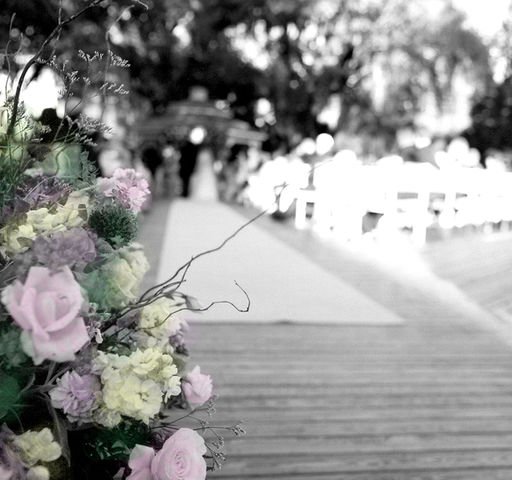Flowerfield