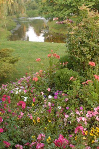 Flowerfield