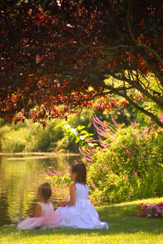 Flowerfield