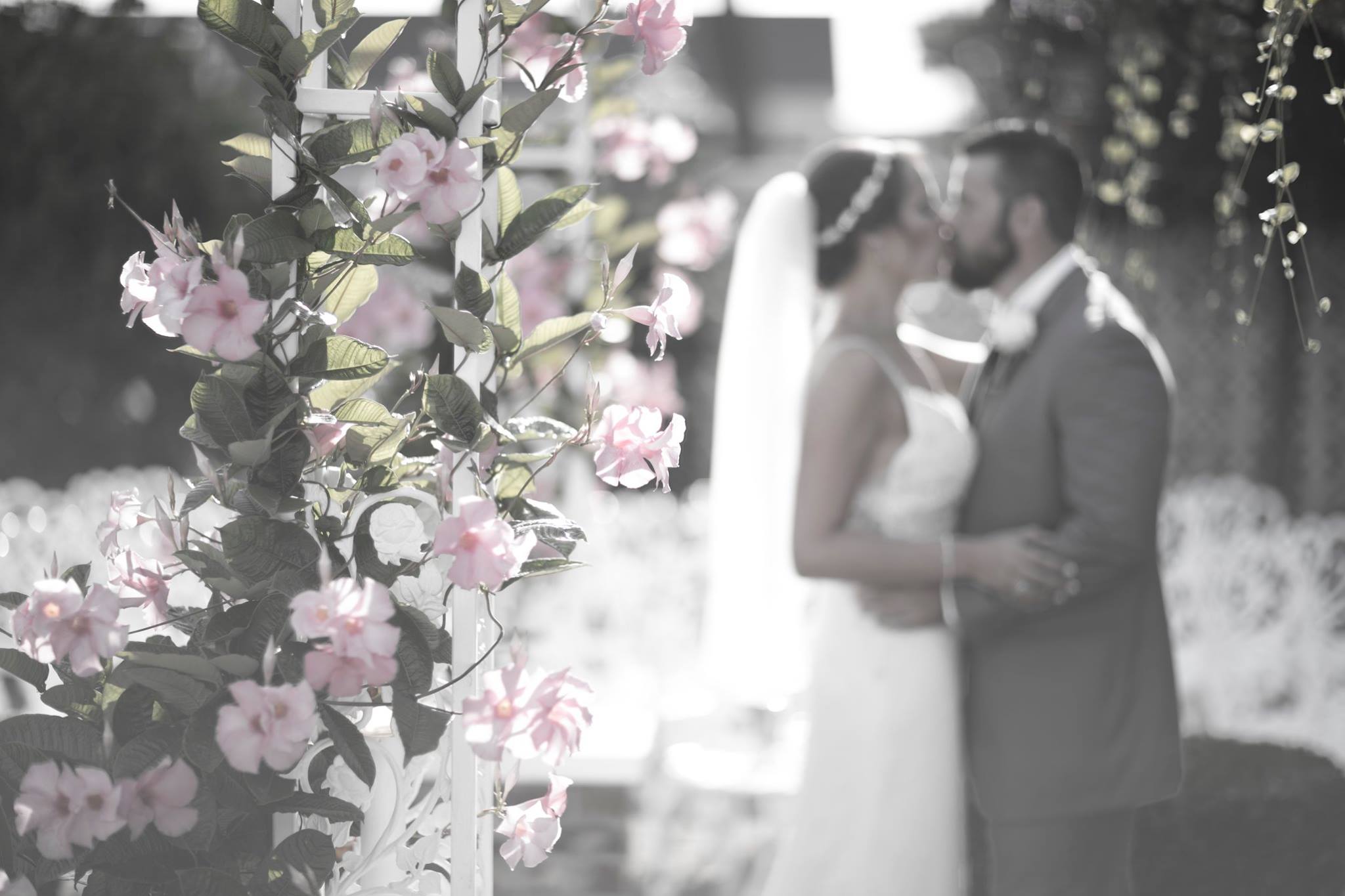 Ken Hild Photography