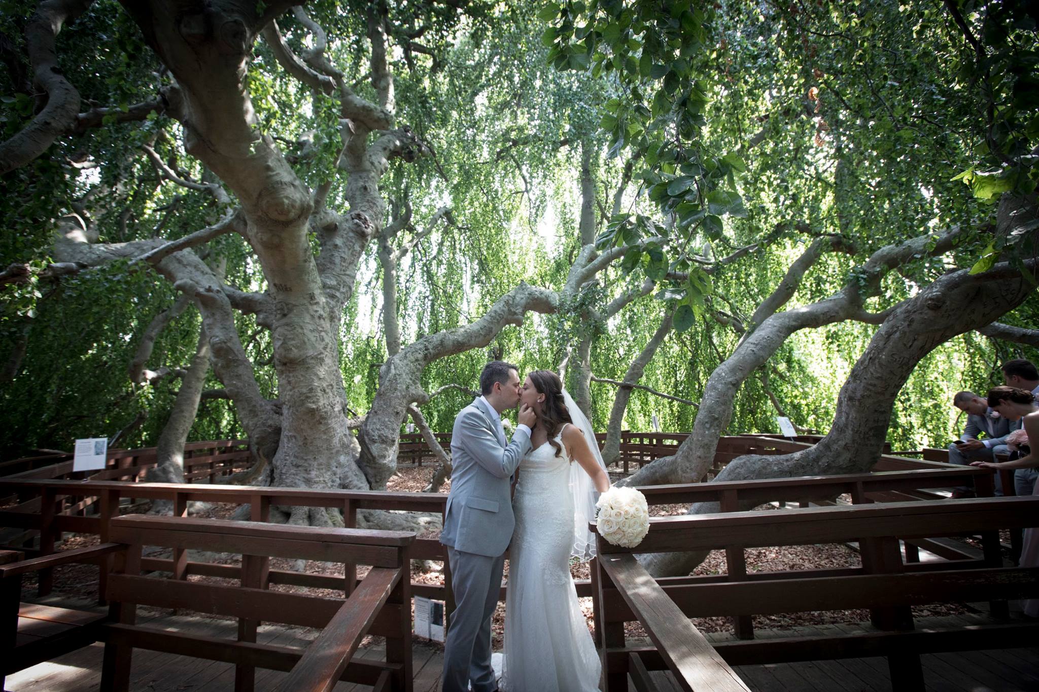 Ken Hild Photography