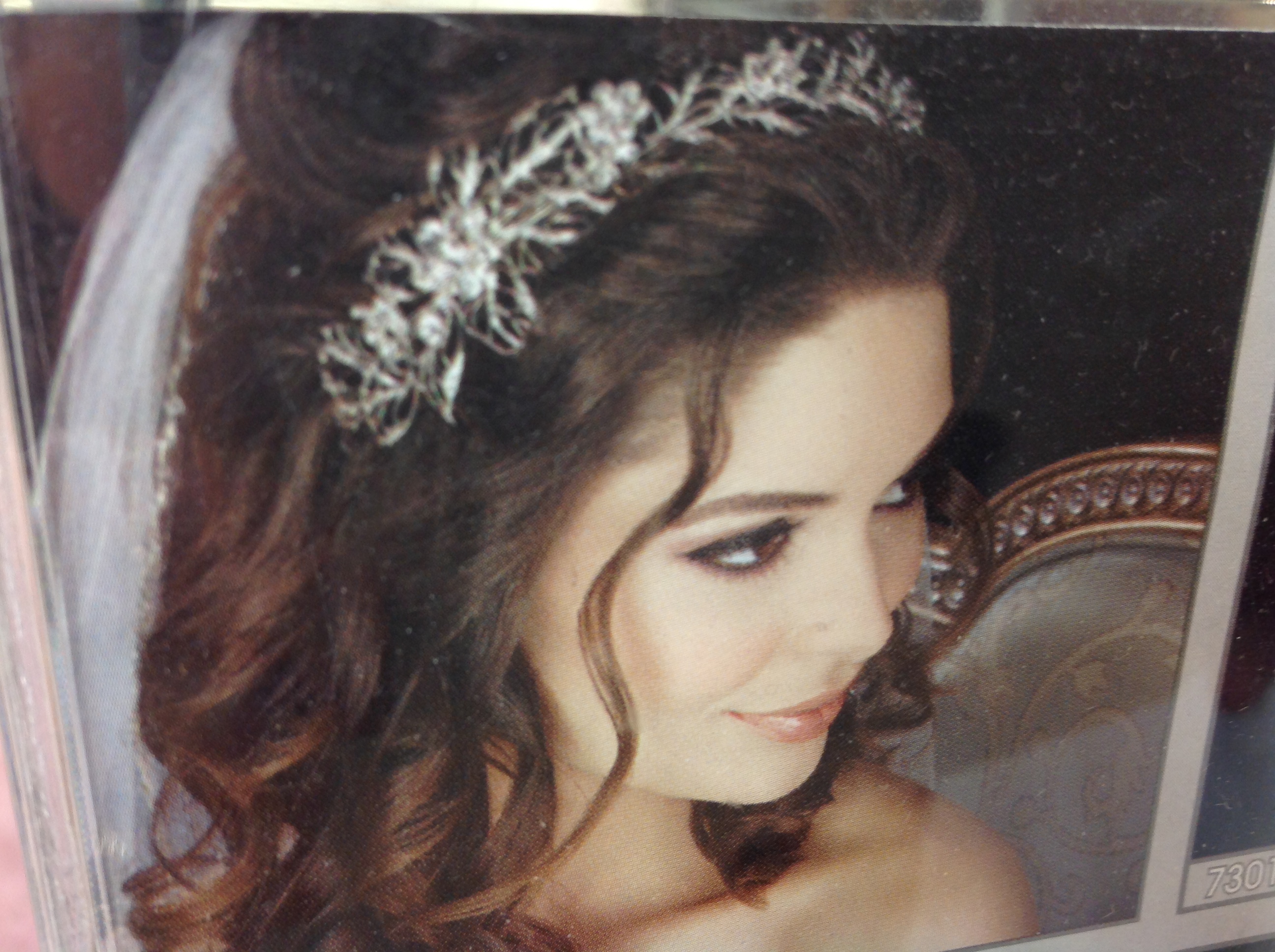 Francines Bridal Experience