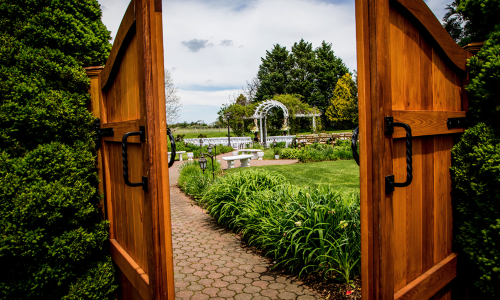 The Vineyards