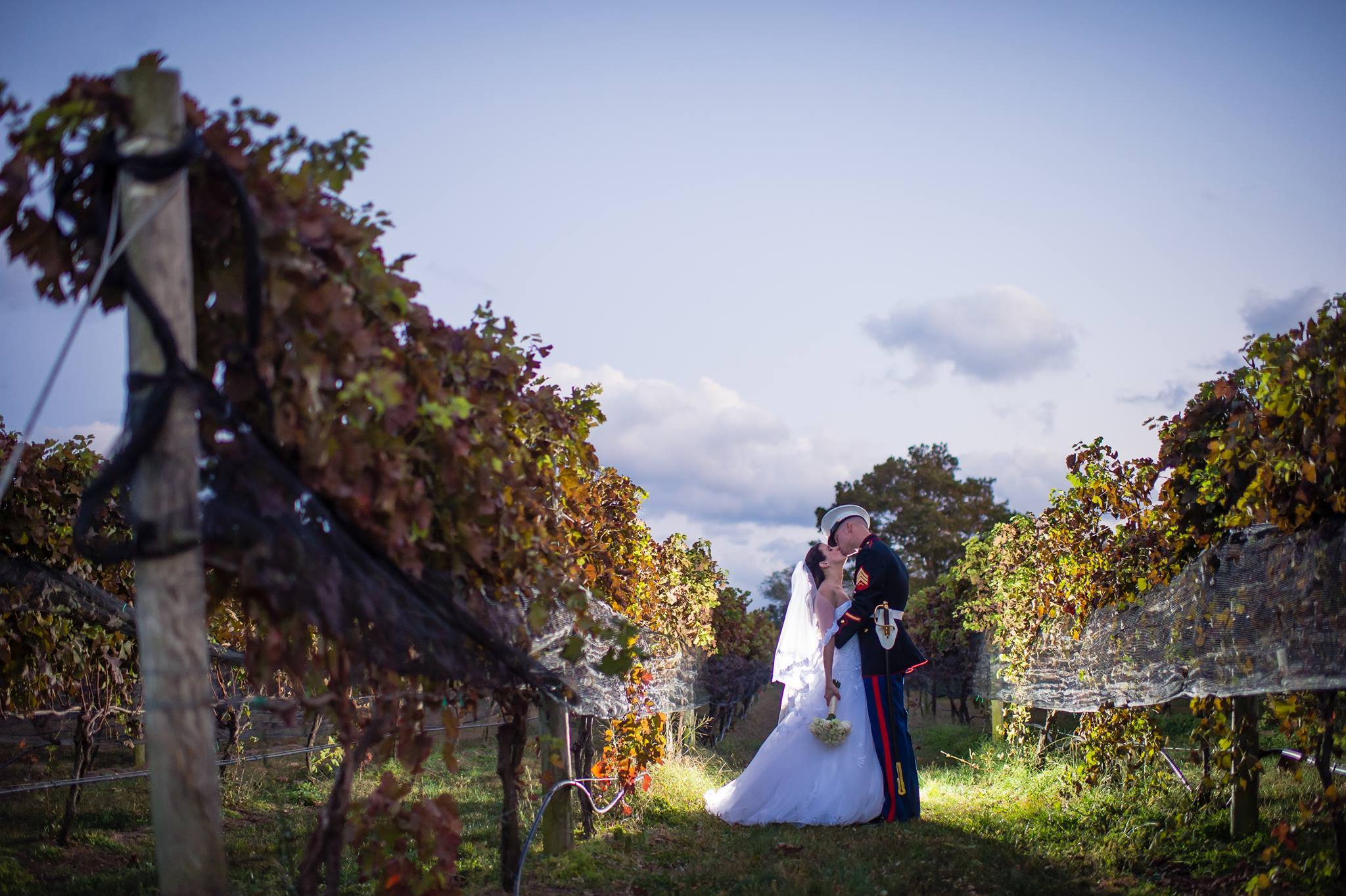 The Vineyards