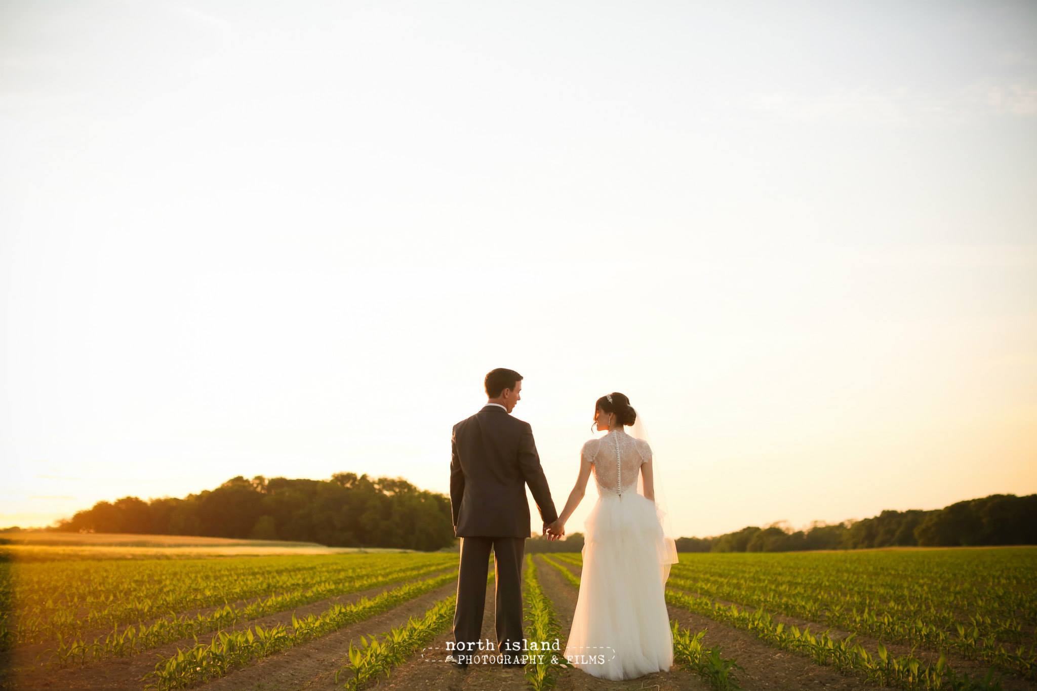 The Vineyards