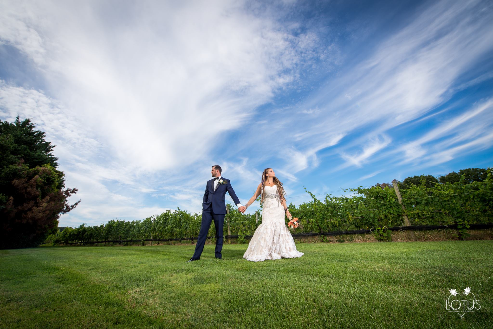 The Vineyards