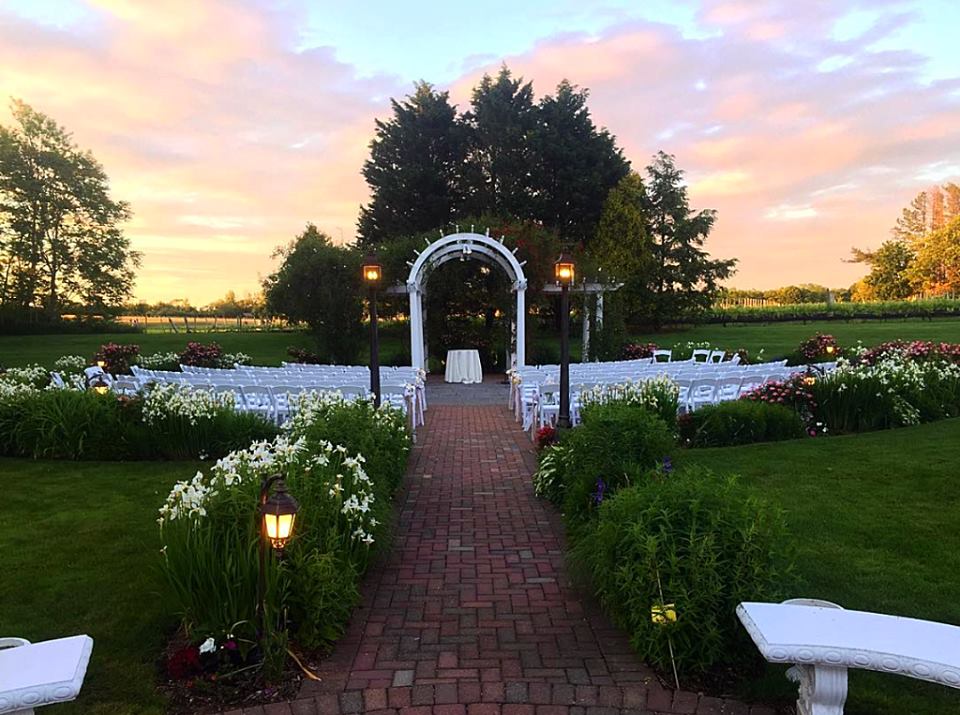 The Vineyards