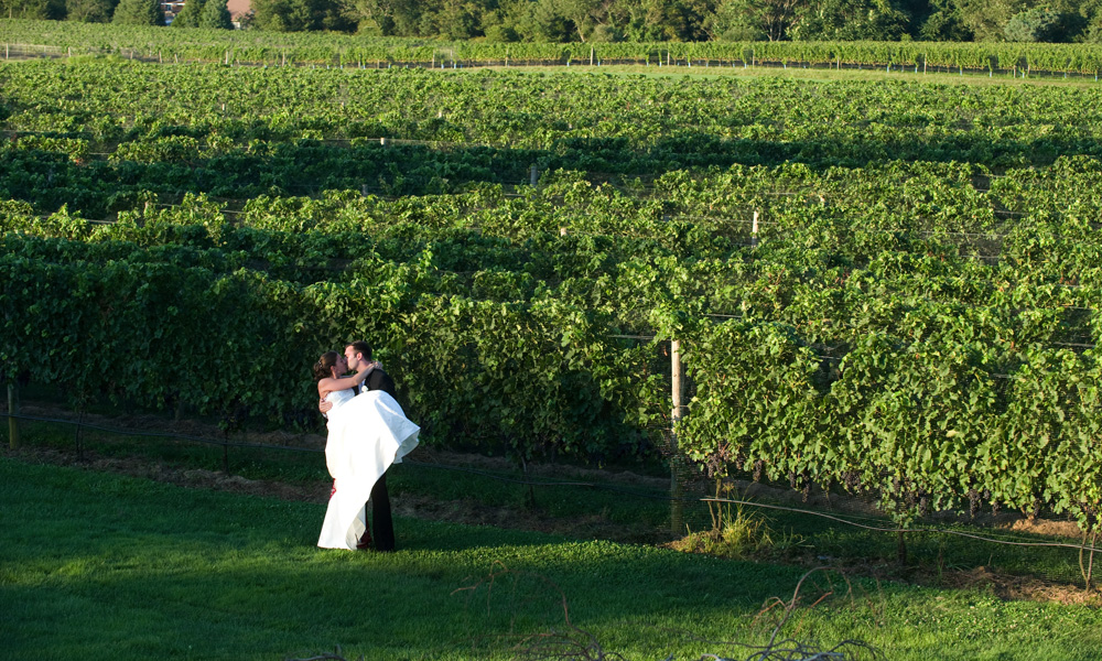 The Vineyards
