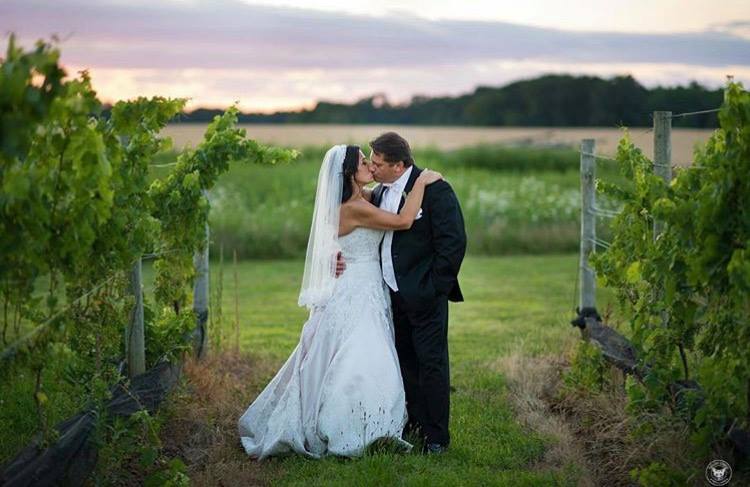 The Vineyards