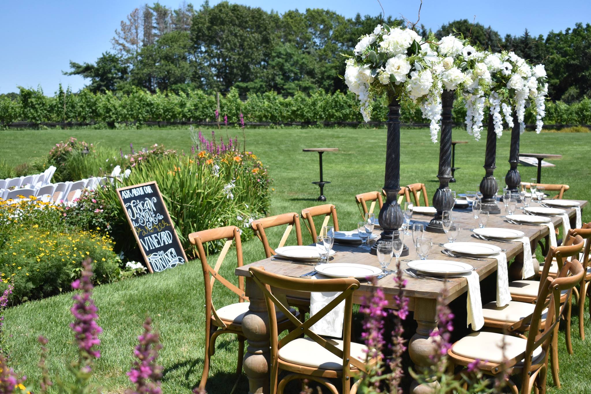 The Vineyards