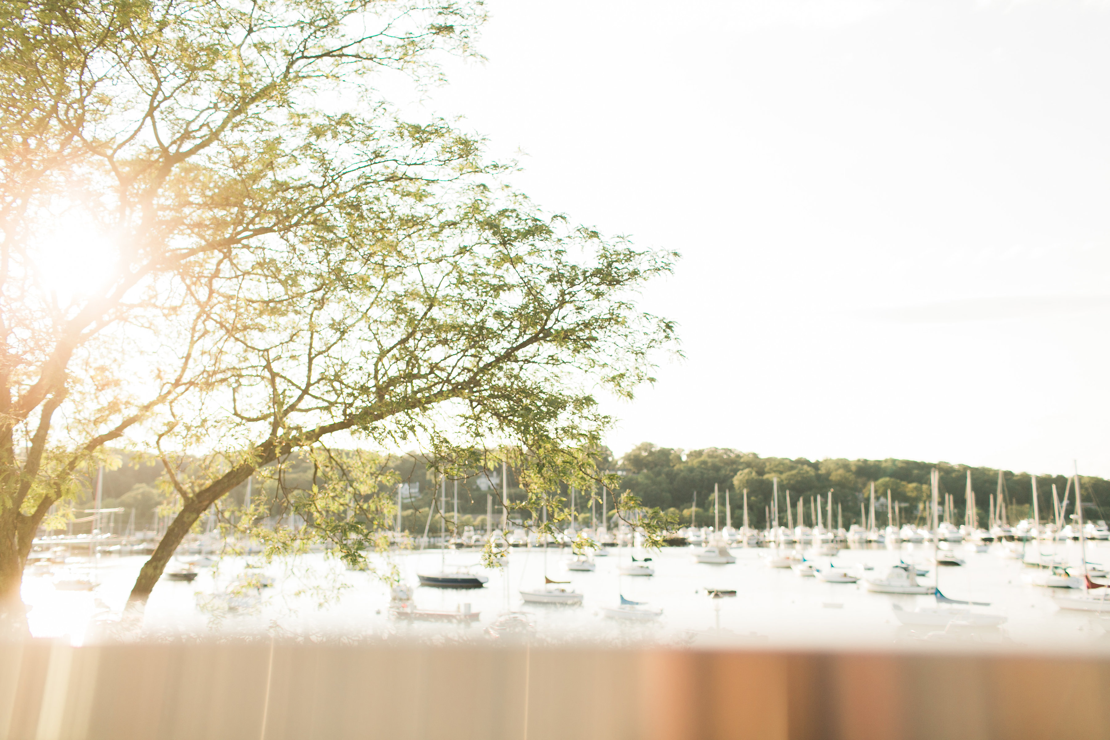 Harbor Club At Prime