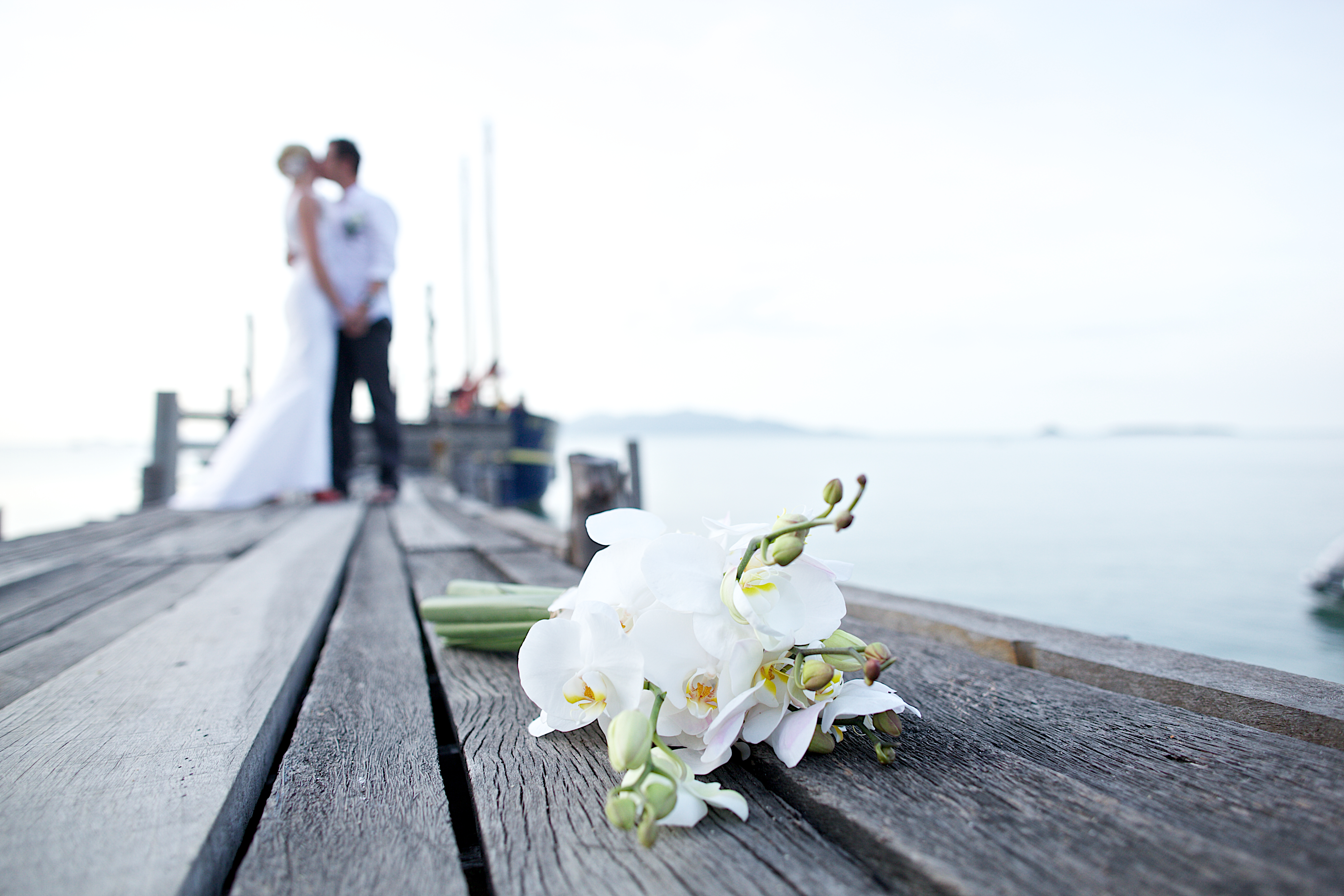 Harbor Club At Prime