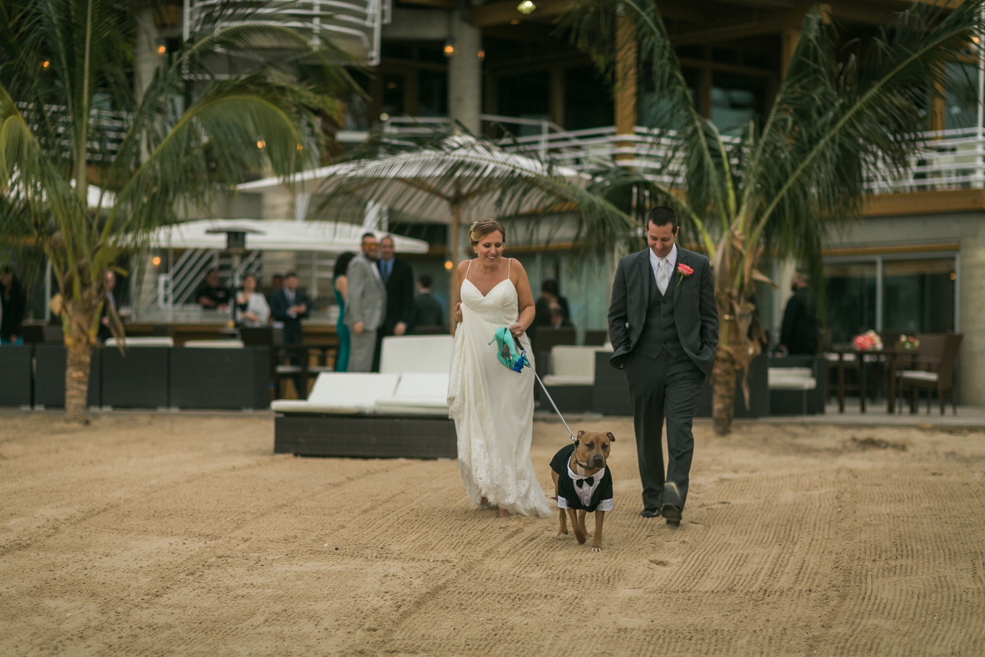 The Crescent Beach Club