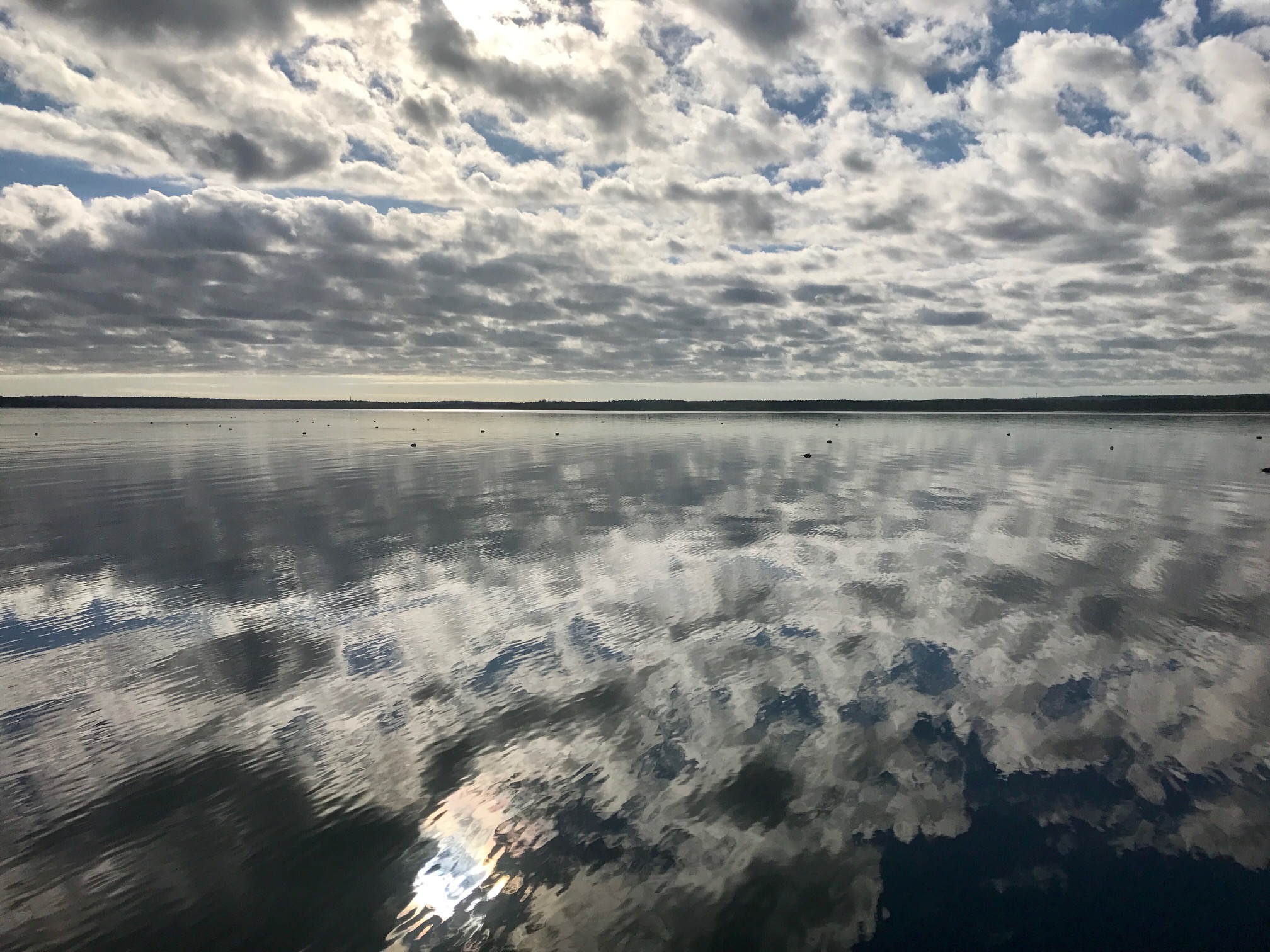 Eastern Bays Oyster Company